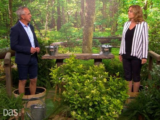 Naturheilkunde Berlin - Prof. Dr. med. Andreas Michalsen informiert rundum das Thema Naturheilkunde bei dem NDR-Magazin "DAS"