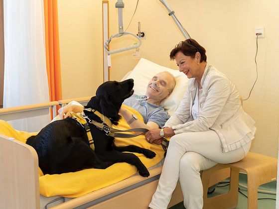 Diakonie Hospiz Wannsee - Nachrichten - Diakonie Hospiz Wannsee feierte sein 20-jähriges Jubiläum - Hundebesuchsdienst