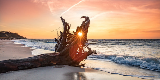 Ein Baumstamm in der Brandung an einem Sandstrand mit der untergehenden Sonne im Hintergrund als Titelbild der Psychodynamische Tage Langeoog 2026: Fachtagung & Weiterbildungsveranstaltung Psychotherapie, Psychiatrie, Psychodynamik der Albertinen Akademie Hamburg